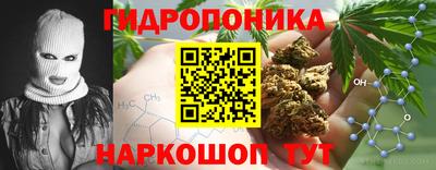 бошки Анжеро-Судженск
