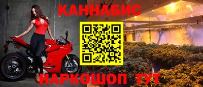 прущие крисы Анапа