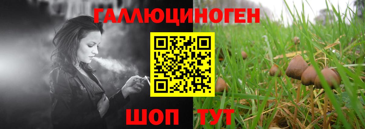 Галлюциногенные грибы мухоморы Егорьевск